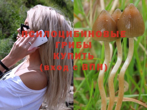 мяу мяу кристалл Аркадак